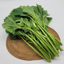 아욱 4kg 국내산 생 아욱 된장국 나물 판매 진맛깔