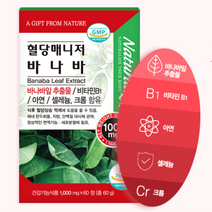 바나바잎 영양제 바나나잎 추출물 식후 혈당 상승 억제 도움 코로솔산, 1통