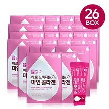애플트리 김약사네 [애플트리김약사네] 바로느껴지는 미인콜라겐 26박스, 기타