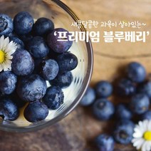 영화농산 4kg 생블루베리 블루베리가격영화농산 블루베리 생블루베리 과일 블루배리 블루베리가격, 본상품