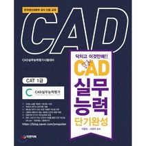 CAD 실무능력 단기완성 : CAT 1급, 피앤피북