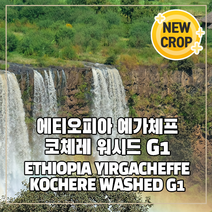 (커피생두) 111 에티오피아 예가체프 코체레 워시드 G1 1kg, 1개