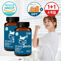 FHLAB 상어연골 콘드로이친 콘드로이틴 글루코사민 120정 4개월분, 60정, 2개
