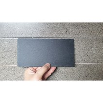 육지거북 파충류 편석 소형 (20x10cm)