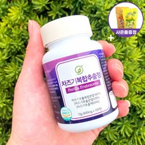 휴나인 눈 차즈기 복합 추출물 국산 차조기 120정, 3개, 72g