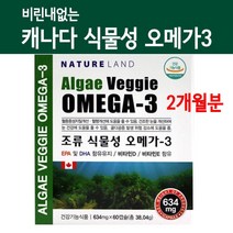 캐나다 식물성 오메가3 비타민D 임산부오메가3 DHA EPA 고함량 미세조류 비린내없는 혈행개선 비타민E 건조한눈 수유부 수험생 직장인영양제 두뇌건강 효능, Brainbee NO 2EA