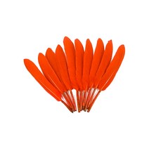 거위깃털 소 약1.5~1.8cm×12~15cm 빨강 100개 자연재료 거위털 인디언장식 노리프렌즈 만들기재료