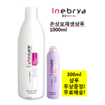 인에브리아 아이스크림 베이직리컨스트럭터 (손상회복) 샴푸 1000ml 두피샴푸 이태리 샴푸 + 300ml 1개무상증정