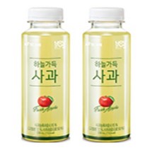 유어스 빙그레 하늘가득 사과주스 음료 페트 330ml x 12개, 상세페이지 참조, 상세페이지 참조