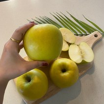 시나노 골드사과 스위트 홍로 경북 황금사과 5kg, 1개, 정품 5kg(중대과13~15개)