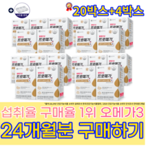 종근당건강 프로메가 알티지오메가3 조인성 남자 여자 30대 40대 50대 60대 효능 효과 듀얼 영양제 장용성 명절선물 알약케이스, 24개월분-패밀리팩(할인가)