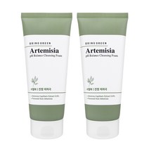 1+1 브링그린 사철쑥 약산성 클렌징 폼 200ml 약산성