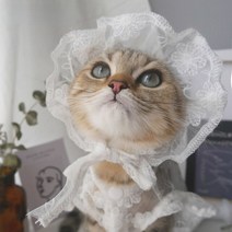 애완 동물 레이스 양산 모자 고양이 개 옷 후드 귀여운 강아지 선스크린 조명 액세서리, 01 hat_04 one size