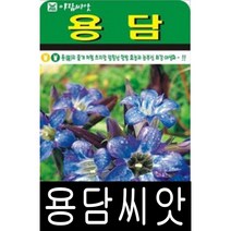 [워터트리몰] 용담씨앗(1000립) 채소 꽃 종자 재배 씨앗 허브 나무 (A)