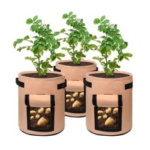 부직포 화분 베란다 텃밭 감자 당근 키우기 그로우백, 브라운 대, 브라운 대