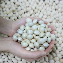 은행팜 국내산 재래종 피은행 10kg 쫄깃한 은행