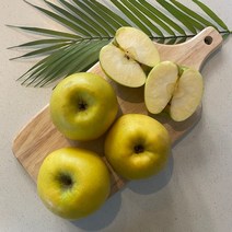 아삭후르츠 시나노골드 황금사과 3kg 5kg, 정품 대과 10-12과(5kg)