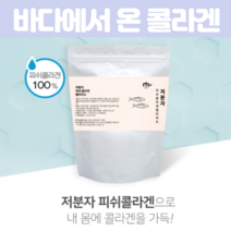 저분자 바다 피쉬 Fish 어류 콜라겐 펩타이드 Peptide데일리 남성 콜라겐 여성 임산부 이너 뷰티 1000Da 달톤 Collagen 먹는 분말 가루 파우더 170g, 170g X 3개