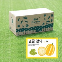 빅가든 텃밭 세트 벌꿀 참외 키우기 베란다 정원 주말농장 과일 기르기