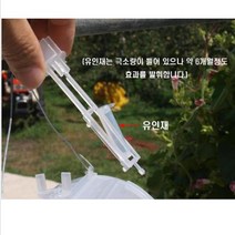 [노린재트랩] 유인제/유인액 /3개 N4229, 3개