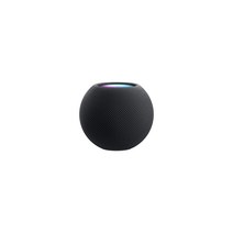 Apple 홈팟 미니 블루투스 스피커, Space Gray, MHY43CH/A