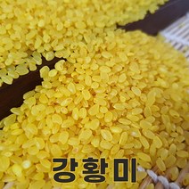 밥보야 22년산 강황미 강황쌀 강황밥 2kg 기능성쌀