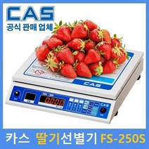 카스 음성딸기선별기 FS-PLUS 250S 딸기전용 무게 등급 수량 과일선별기
