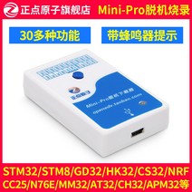 2023 엄격한 atomic Mini Pro 오프라인 다운로드기 TM32 TM8 N7E 버퍼 전문가 작업자용그래밍 연소 장치, 한개옵션0