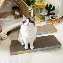 PETCA 65cm 특대 평판형 스크래쳐 고양이 장난감, 스크래쳐-물결형
