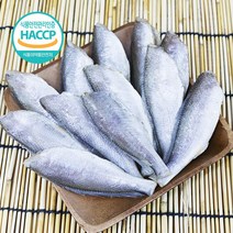 영광 법성포 반건조 손질 굴비 참 조기 생선 / 머리 내장 꼬리 제거 (냉동), 500g(22~25미), 1개