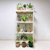 미화부장 화분 선반 거치대 받침대 거실 베란다 창고 주방 정리대 3단 4단 5단 다이 식물 다육이 다이소 이케아 이동식 틈새 플라스틱 진열대, 아이보리