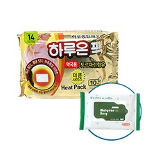 하루온 핫팩 붙이는 타입 50g, 2개입+맑은누리손소독티슈