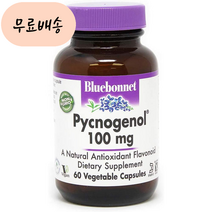 블루보넷 피크노제놀 100m.g 60 프랑스해안송 소나무껍질 추출물 호팍사 opcs, 1개