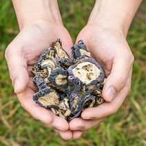 봉래종합약초 국산 볶은가지차 200g/한방/건강/약초/약재 식품 > 커피/차 티/전통차 기타전통차 오미자차, 1, 200g, 200g” class=”wr-img”></a></div></p></div></p></div></p></div><div class=