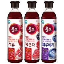 청정원 홍초 석류+복분자+블루베리900ml, 900ml, 1세트