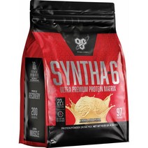 BSN 비에스엔 프로틴 파우더 SYNTHA-6 바닐라 아이스크림 97회, 1개, 1