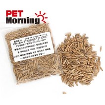 펫모닝 펫모닝 PMC 236 100 국내산 귀리씨앗12g