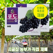 포도즙 포도 자연그대로 녹초재배 100ml 50개입, 50개입/100ml
