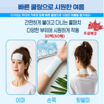 30팩(60매) 순식간에 열을 식혀주는 붙이는 아이스 쿨패치 쿨링패치-무료배송, 60개입, 30개