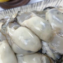 당일채취 통영 최상급 하프굴(반각굴) 석화(각굴) 생굴(깐굴) 삼베체굴(3년생굴) 홍가리비 선택구매, 03. 생굴(깐굴), 2kg