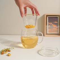 무아 T 내열유리 차거름망 머그컵 500ml(뚜껑포함), 단일, 1개