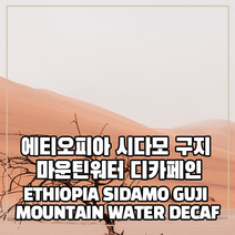 (커피생두) 46 에티오피아 시다모 구지 마운틴워터 디카페인 500g