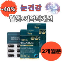 뉴일리 징코 알티지오메가3 30캡슐 은행잎추출물 노르웨이산 정제어유 홍삼농축분말 대두레시틴 플라보놀배당체 rTG 오메가3 루테인 혈행 눈 건강 에좋은 영양제, 2개