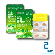 일양 징코플러스 은행잎추출물 기억력영양제 x 2박스 플라보놀배당체 36mg 함유 콜레스테롤 개선 두뇌 청소년 수험생 중장년 어르신 영양제