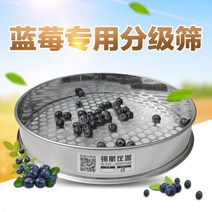 블루베리 구멍 선별 곡식 곡물 수동 스테인리스 선별기 10mm 부터 20mm, 지름 11mm개