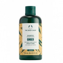 센텀시티점 진저 스캘프 케어 샴푸 250ML (97909)