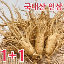 [1+1] 금산 인삼 바른인삼 6년근 5년근 난발삼 300g, [원플러스원] 난발삼 6~8뿌리, 무료세척