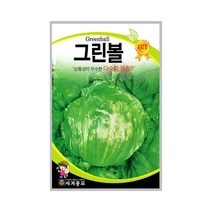 그린볼 2g 양상추씨앗 다수확품종 갑고풍원형 대구, 단품