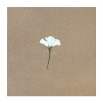 북유럽매트 매트 카펫 러그 러그 방바닥매트 포인트매트 매트 카펫 러그 러그 패치 워크 매트 카펫 러그 자기 흡수 비 접착 바닥 몰려들었다 주방 욕실 호텔 사무실 단색 매트 비 슬립