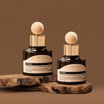 멈칫 바이오톡스 차량용디퓨저 80ml 2개입 4종 택1, 블루밍부케 80ml